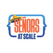 Señors at Scale - Software Engineering &amp; Tech Leadership