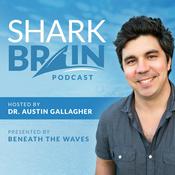 Podcast Shark Brain