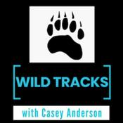 Podcast Wild Tracks with Casey Anderson