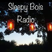 Podcast Sleepy Boi's Radio