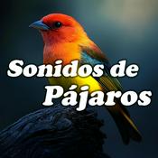Podcast Sonidos de Pájaros: Naturaleza Relajante para Dormir, Meditar, Reducir el Estrés y Descansar