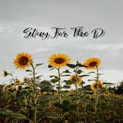 Podcast Stay For The D