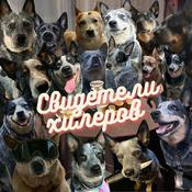 Podcast Свидетели хилеров