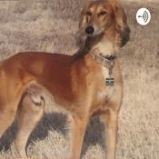 Podcast Tall Dog Podcast