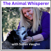 Podcast The Animal Whisperer with Suzan Vaughn: Animal Communication Stories