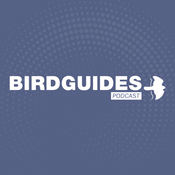 The BirdGuides Podcast