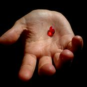 Podcast The Red Pill Experience