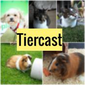 Podcast Tiercast