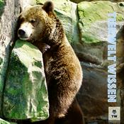 Podcast Tierwelt Wissen