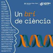 Un bri de ciència