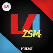 Podcast VI ZSM