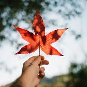 Podcast Vibra Canadá