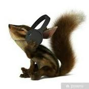 Podcast Voz ardilla - Escuela bíblica para niños