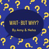Podcast Wait- But Why?