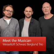 Podcast Wesseltoft Schwarz Berglund Trio: Meet the Musician