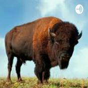 Podcast White Buffalo