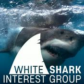 Podcast White Shark Interest Group Podcast