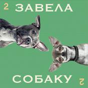 Podcast Завела собаку