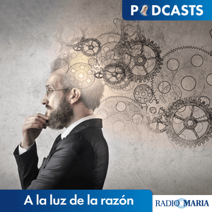 A la luz de la razón