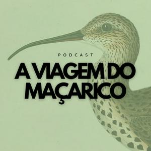 A Viagem do Maçarico