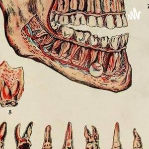 Anatomia Dental