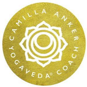 Ayurveda Práctica