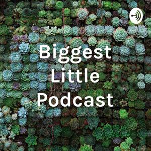 Biggest Little Podcast