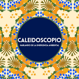 Caleidoscopio: Hablando de la emergencia ambiental