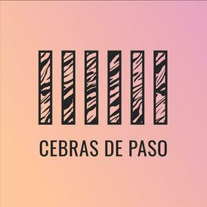 Cebras de Paso