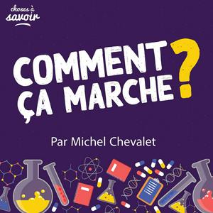 Escucha Comment ça marche ? par Michel Chevalet en la aplicación