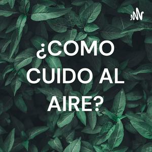 ¿COMO CUIDO AL AIRE?