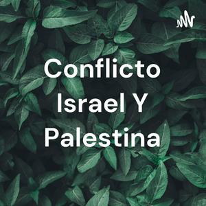 Conflicto Israel Y Palestina