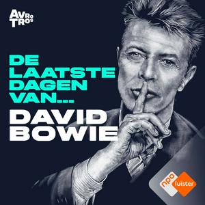 De Laatste Dagen Van... David Bowie