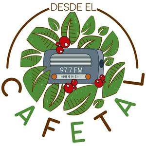 Desde el Cafetal