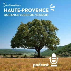 Destination Haute-Provence