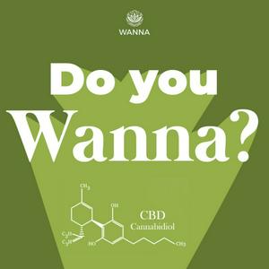 Do you WANNA?