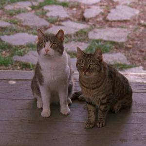 Doble G el podcast de Gilmore Girls