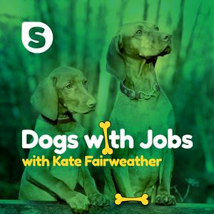 Escucha Dogs with Jobs en la aplicación