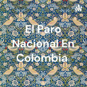 El Paro Nacional En Colombia