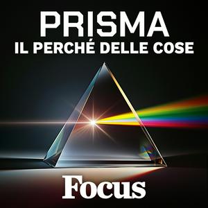 Focus Prisma - Il perché delle cose