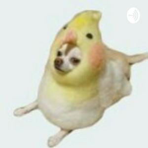 Gabinete de Curiosidades