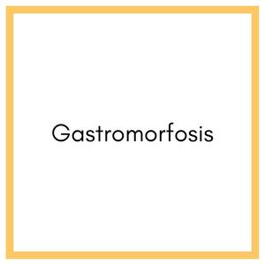 Gastromorfosis