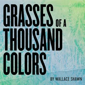 Grasses of a Thousand Colors