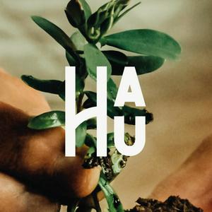 Hau Plant