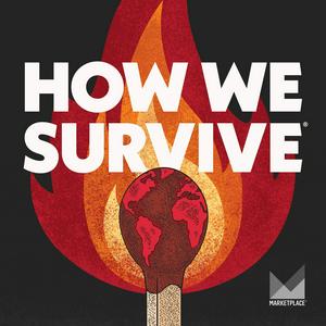 How We Survive