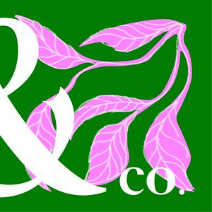 La Enredadera & co.