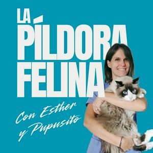 La Píldora Felina – Entiende y cuida mejor a tu gato