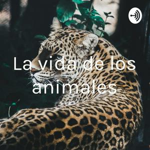 La vida de los animales