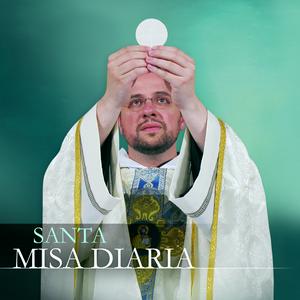 Lecturas, homilía y Misa diaria