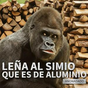 Leña al mono que es de goma